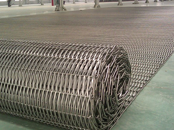 Conveyor belt - Anping Wangyuan Hardware Mesh Products Co., Ltd