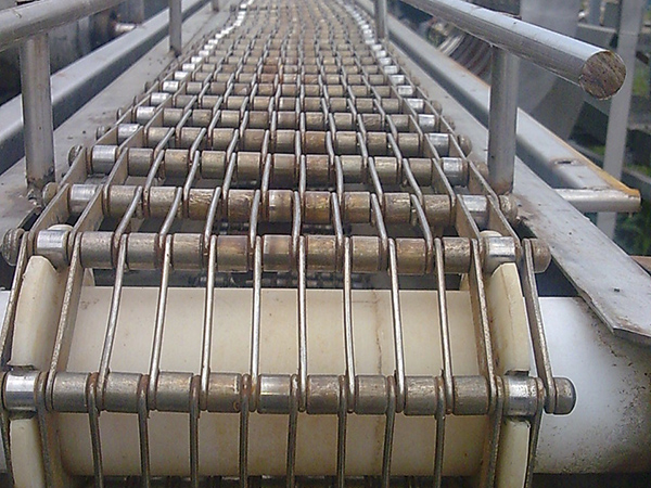 Conveyor belt - Anping Wangyuan Hardware Mesh Products Co., Ltd
