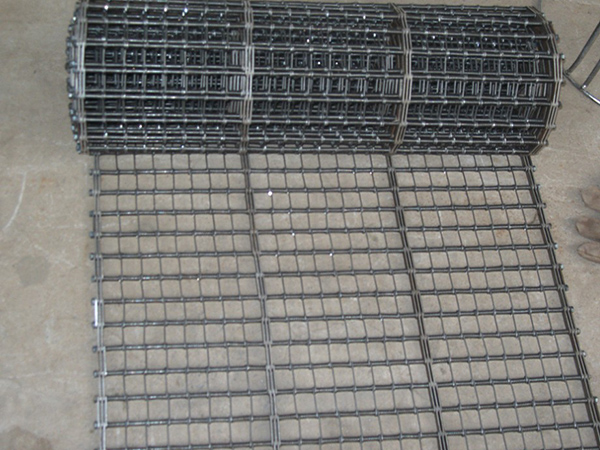Conveyor belt - Anping Wangyuan Hardware Mesh Products Co., Ltd
